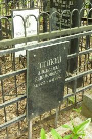 Липкин Александр Бенционович, Москва, Востряковское кладбище